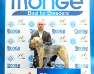 Click to view full size Thumbnail image for ../Datoteke/Novosti/bobi.jpg